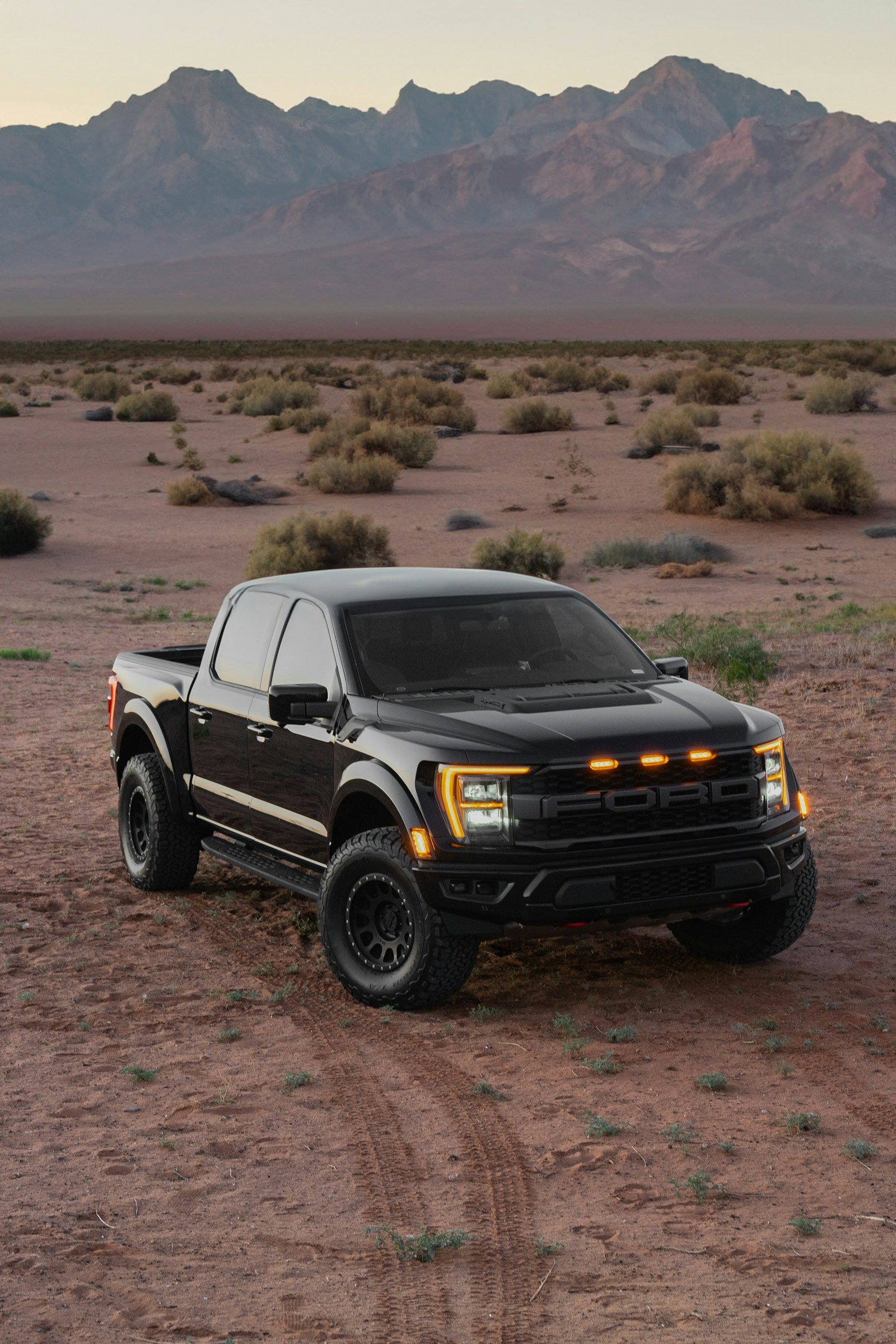 Ford F-150 Raptor R